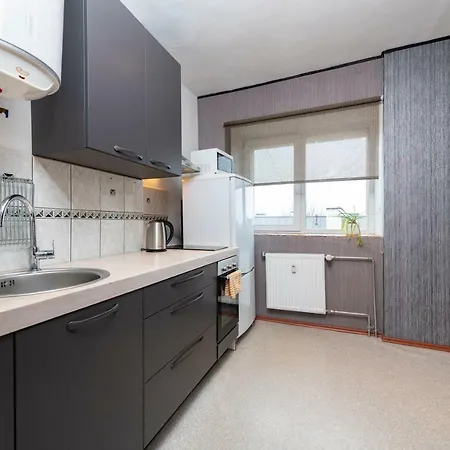 Endla City Center Apartment